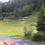 홈스테이 Gaestehaus Scheiber